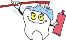 为什么正畸期间应该定期洗牙!