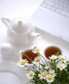 职场，十招搞定最大薪酬