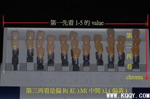 VITA-3D比色板使用学习方法