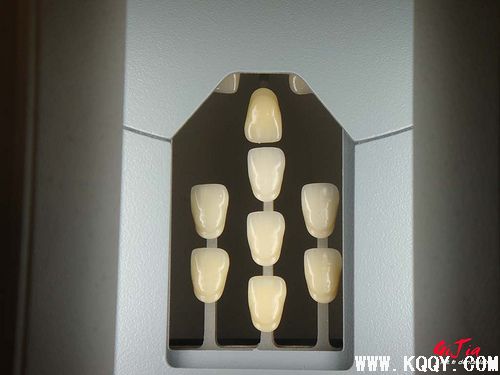 VITA-3D比色板使用学习方法