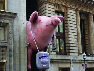 佳洁士牙线广告夹——在胡同的猪