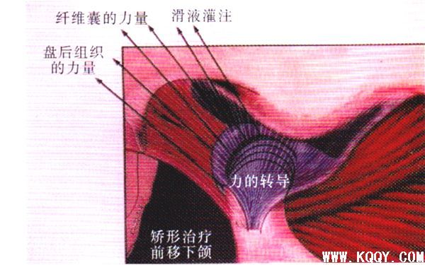 周医生教你认识肌激动器