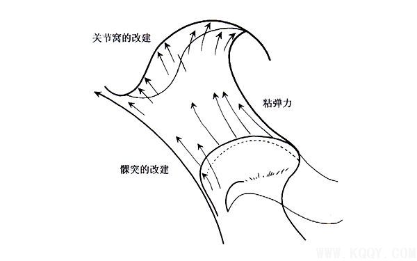 周医生教你认识肌激动器