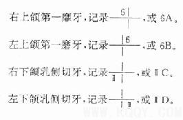 牙体解剖（DentalAnatomy）