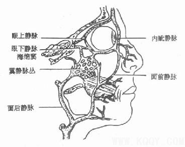 疖痛——口腔颌面感染四