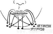 唇癌V形切除术图片