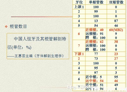 浅析根管口的探查(胡华)
