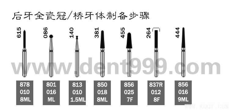 周锐前后牙备牙简明教程