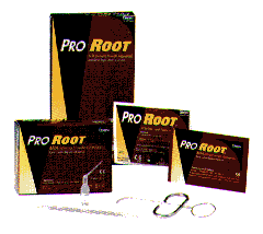 Root Canal Repair Material-MTA